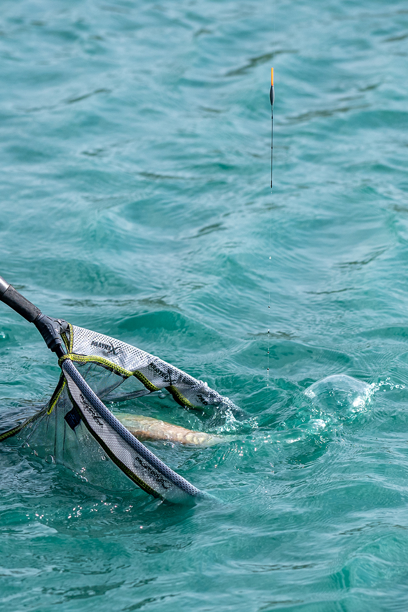 Matrix Stubby Slim Pole Float - O ANZOL - Artigos de Pesca Desportiva